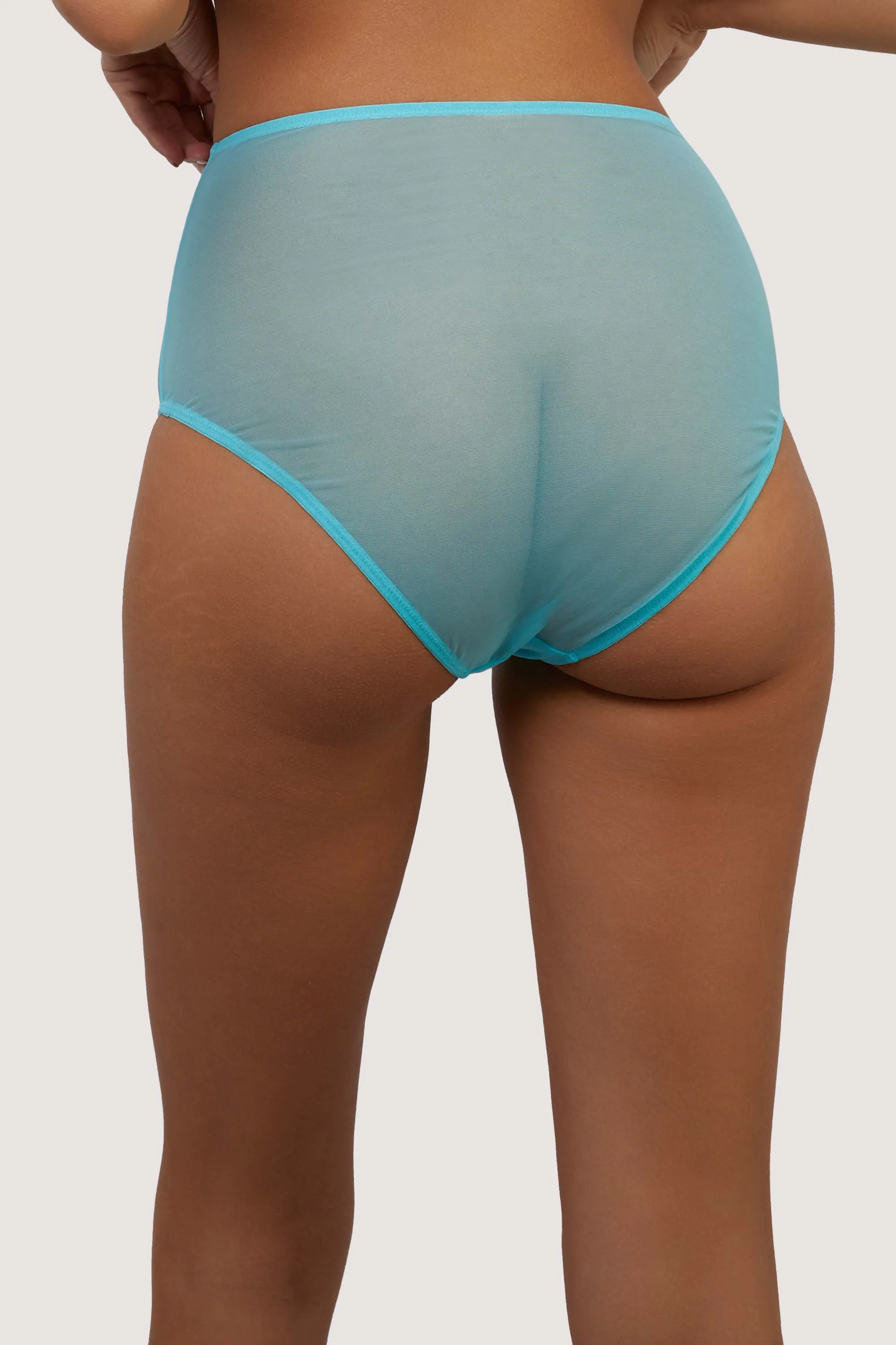 Cleo Contrast Stitch Mesh Retro High Waisted Brief