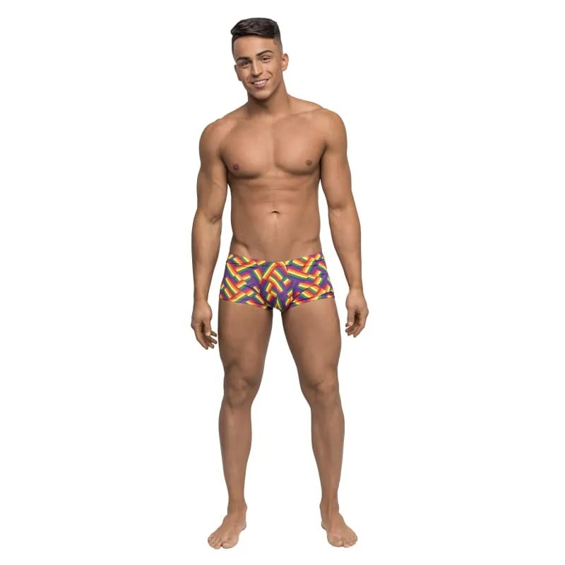 Pride Fest - Mini Short - Medium - Print