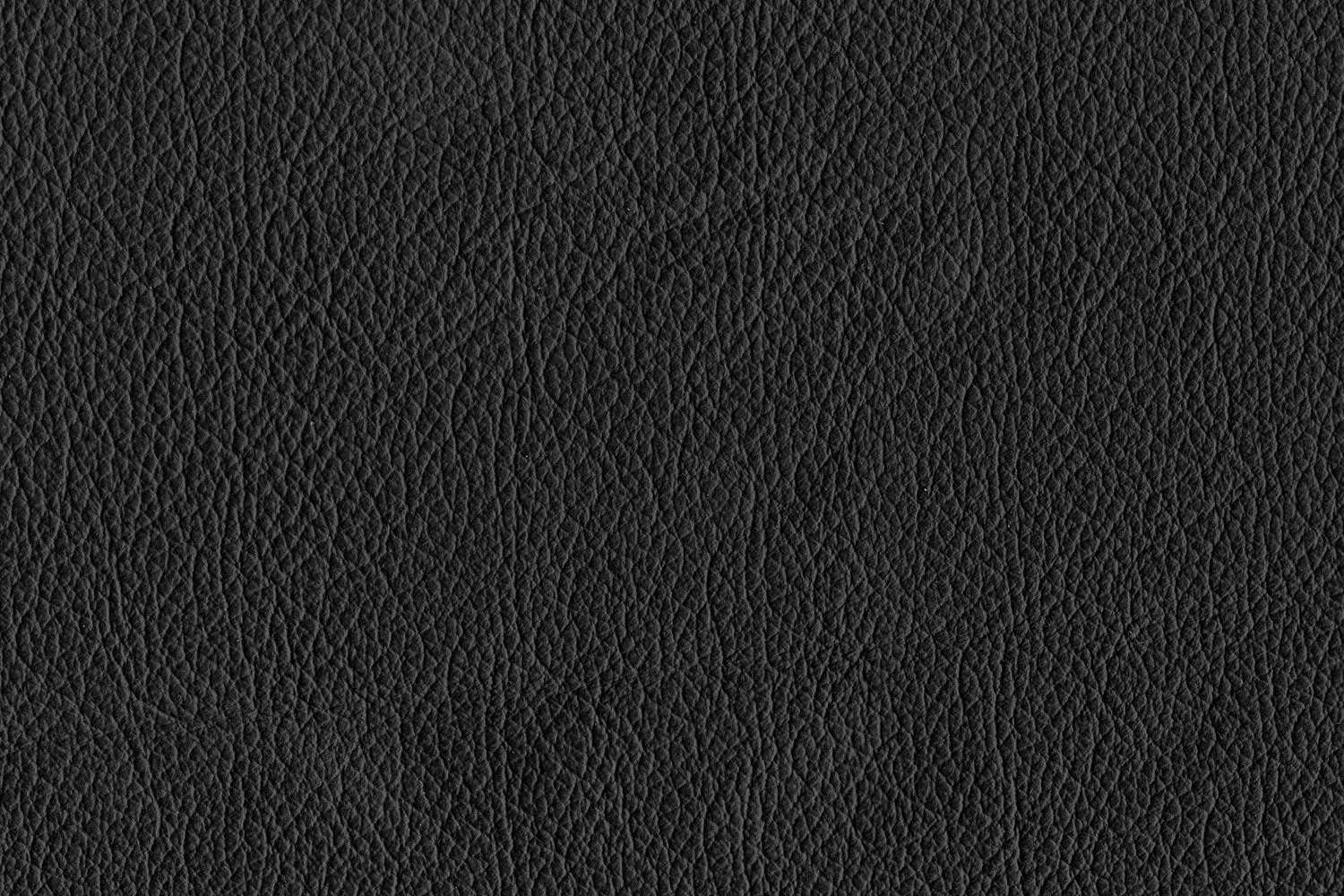 Reynolds Leather Loveseat - Black